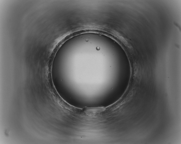 X0000103131264200808221146