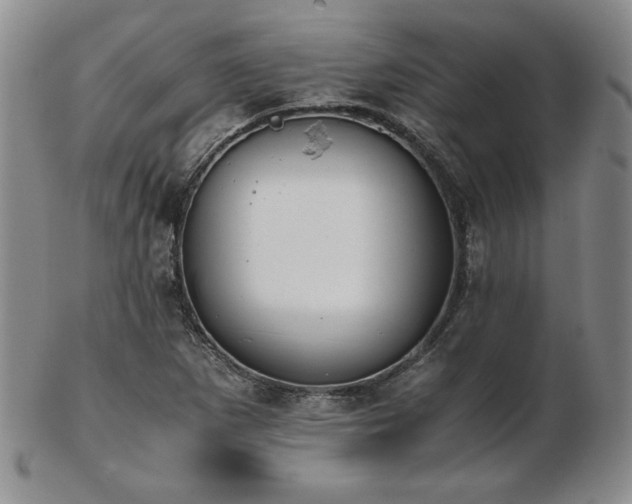 X0000103131265200808221146