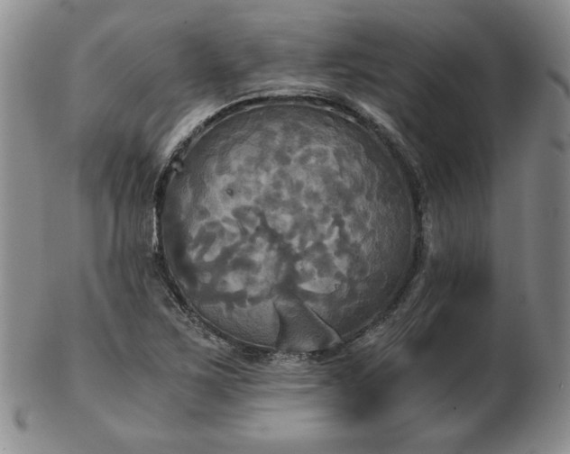 X0000103131267200808221146