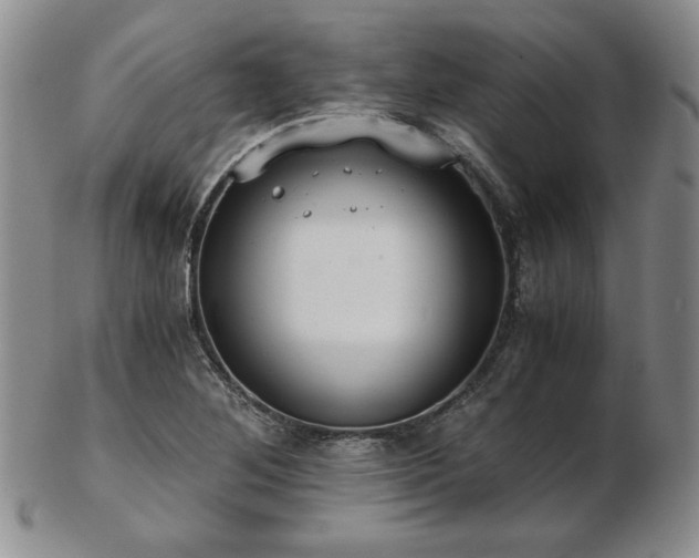 X0000103131268200808221146