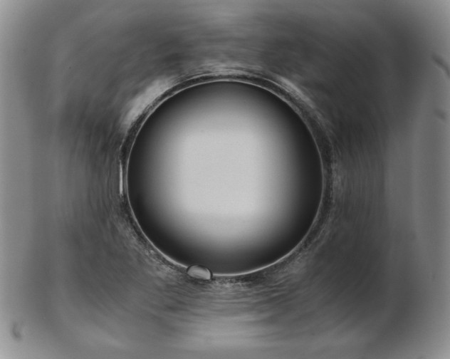 X0000103131269200808221145