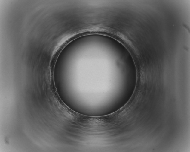 X0000103131270200808221145