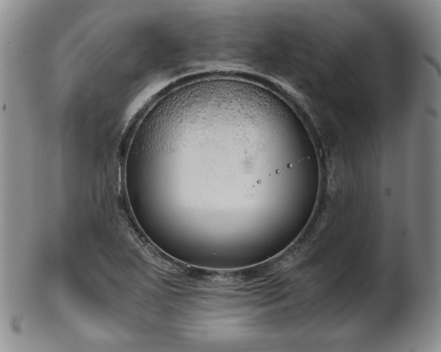 X0000103131271200808221145