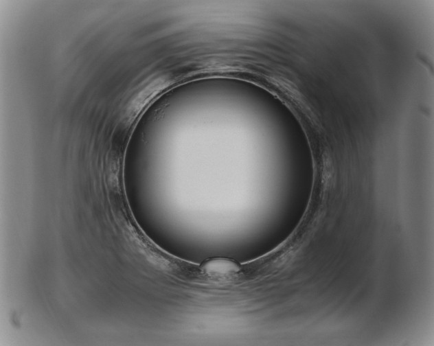 X0000103131273200808221145