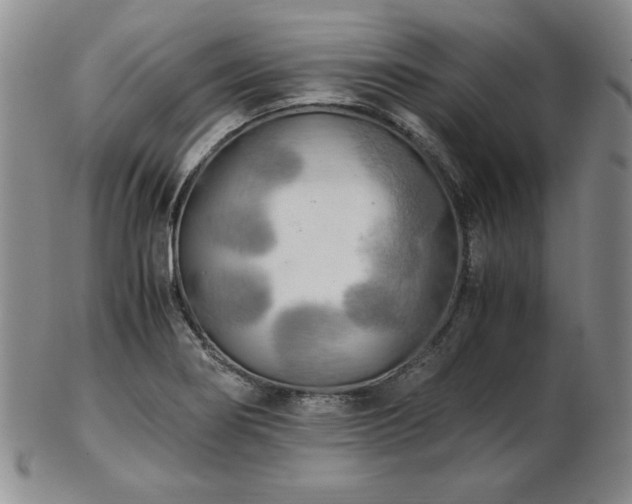 X0000103131274200808221145