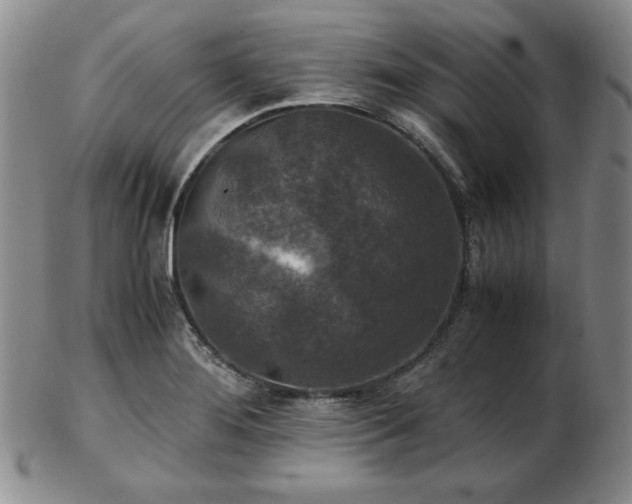 X0000103131276200808221145