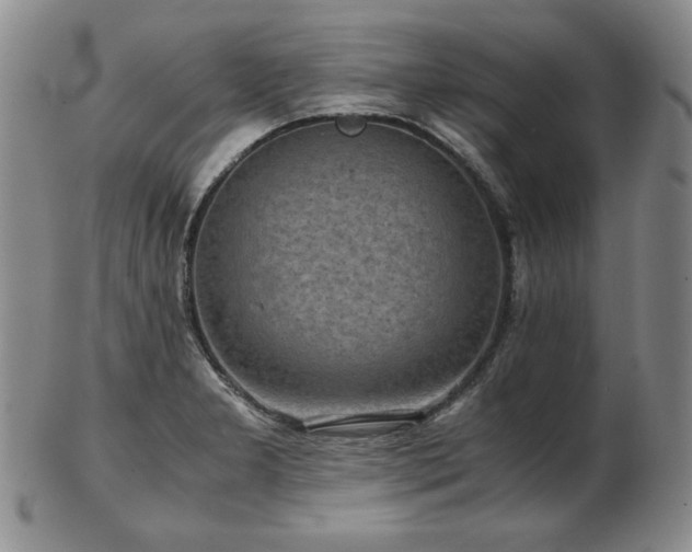X0000103131277200808221145