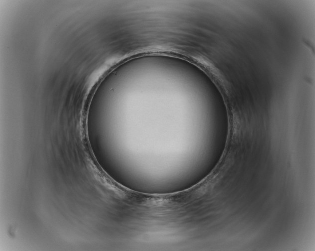 X0000103131278200808221145
