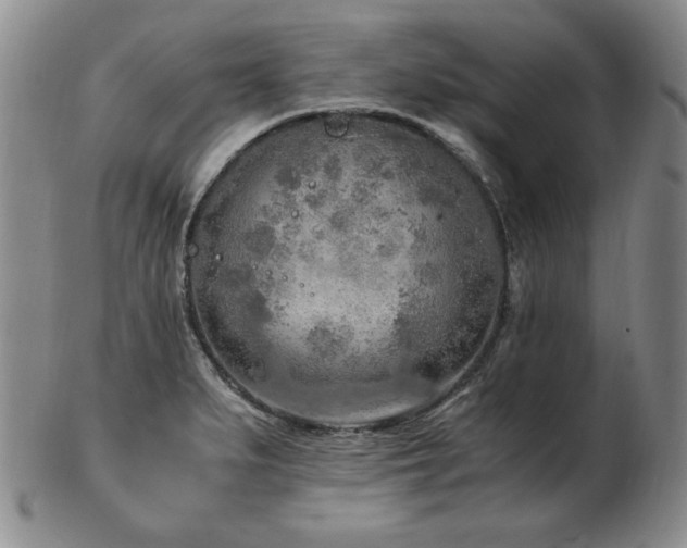 X0000103131279200808221145