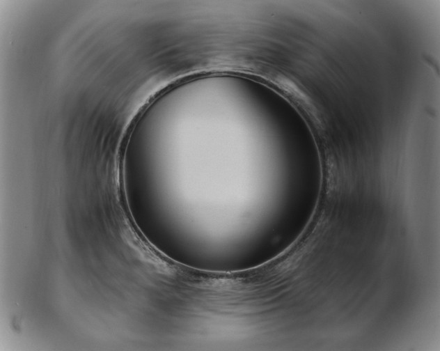 X0000103131280200808221145