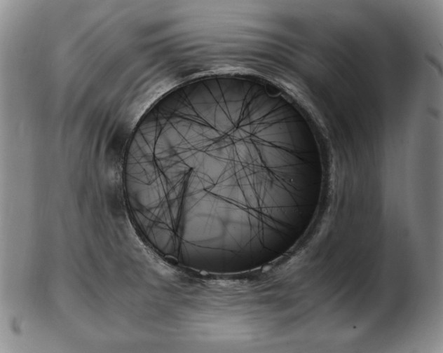 X0000103131281200808221145