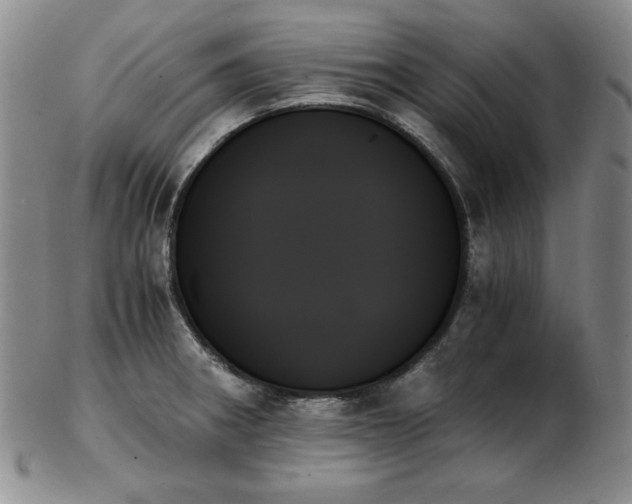 X0000103131282200808221145