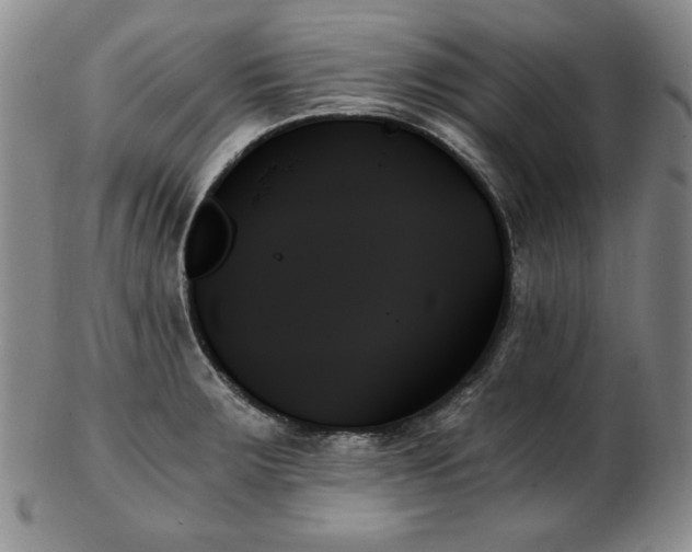 X0000103131283200808221145