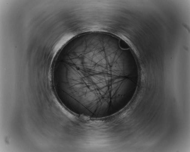 X0000103131285200808221145