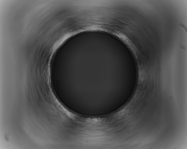 X0000103131286200808221145