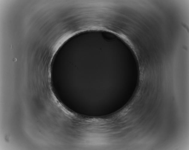 X0000103131287200808221145