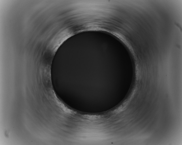 X0000103131289200808221145