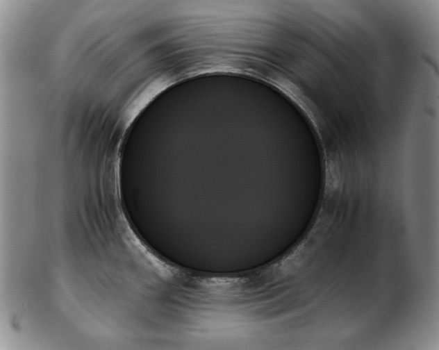 X0000103131290200808221145