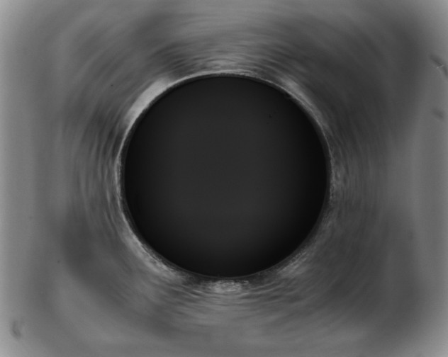 X0000103131291200808221145