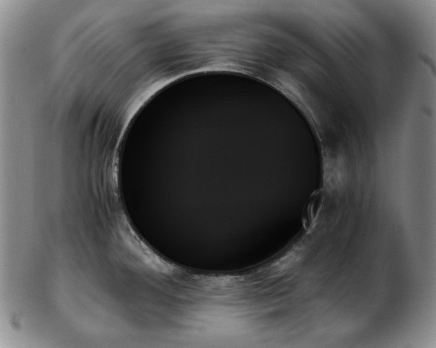 X0000103131292200808221145