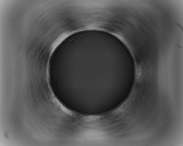 X0000103131294200808221145