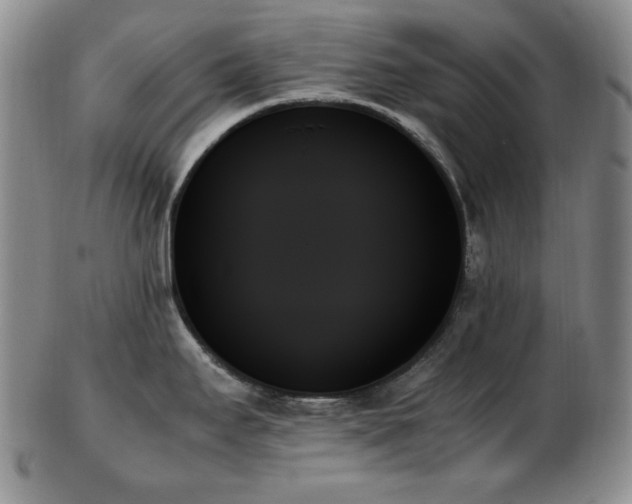 X0000103131295200808221145