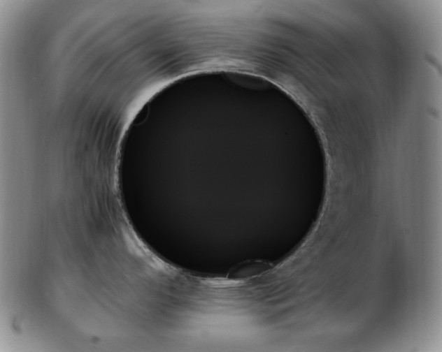 X0000103131296200808221145