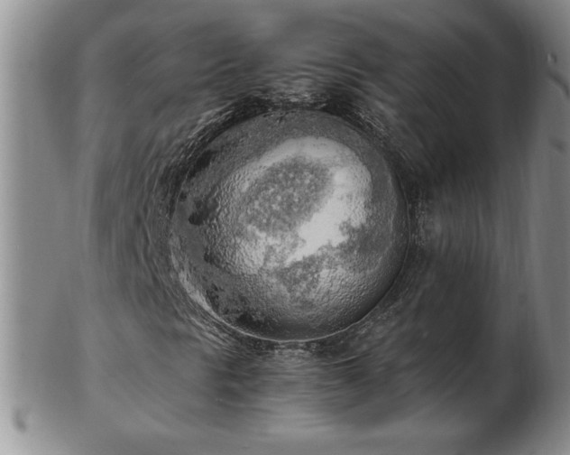 X0000103131297200808221144