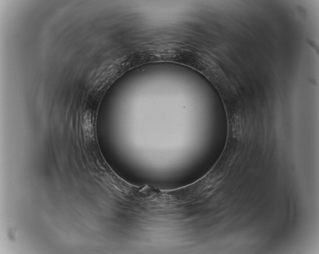 X0000103131298200808221144