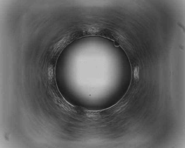 X0000103131299200808221144