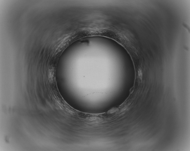 X0000103131300200808221145