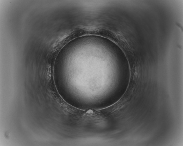 X0000103131301200808221145