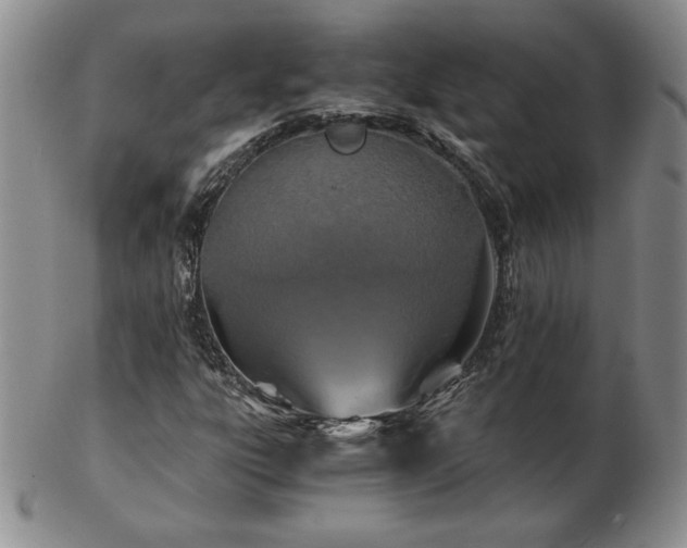 X0000103131303200808221145