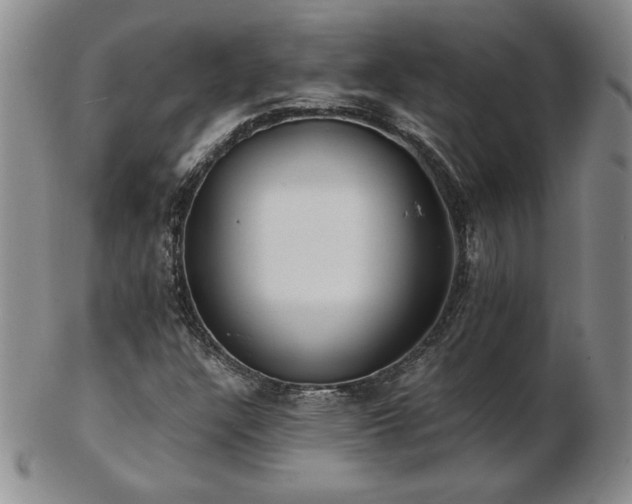 X0000103131304200808221145