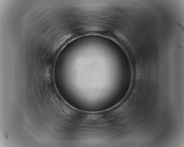 X0000103131305200808221145