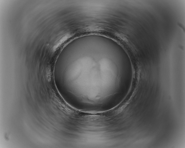 X0000103131306200808221145