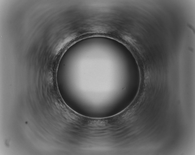 X0000103131307200808221145