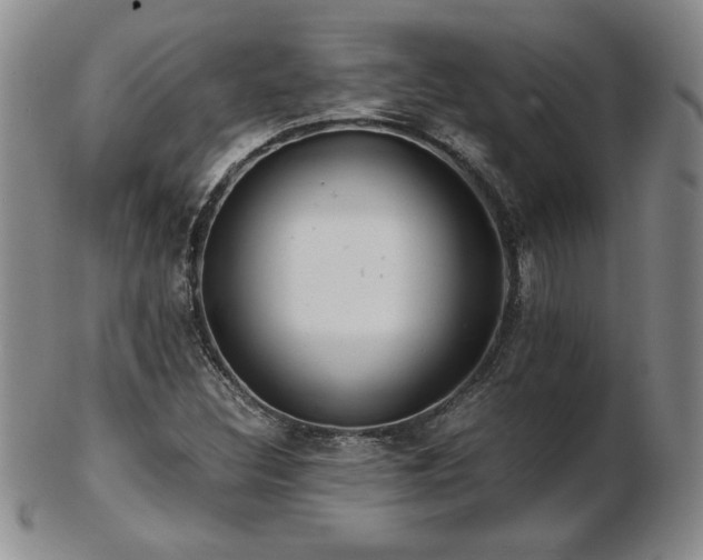 X0000103131308200808221145