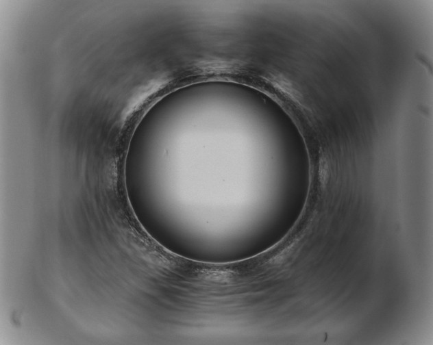 X0000103131309200808221145