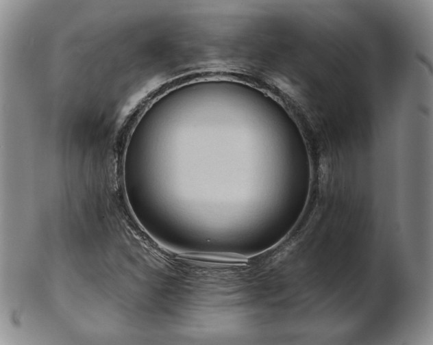 X0000103131310200808221145