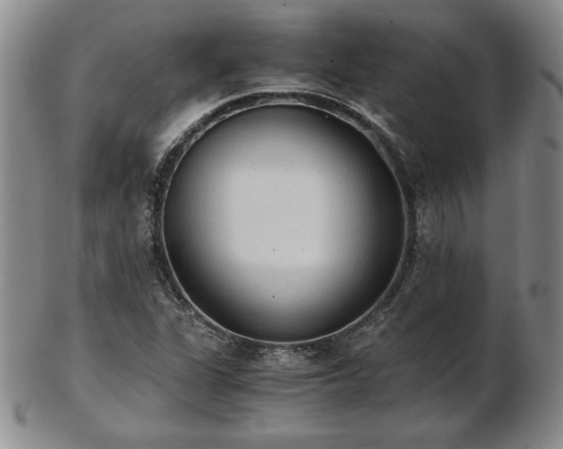 X0000103131311200808221145