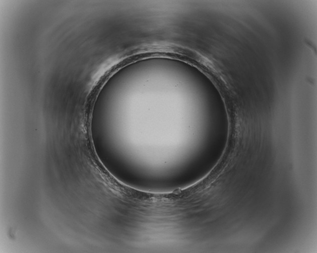 X0000103131312200808221145