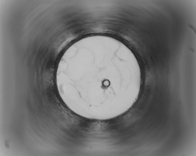 X0000103131314200808221145