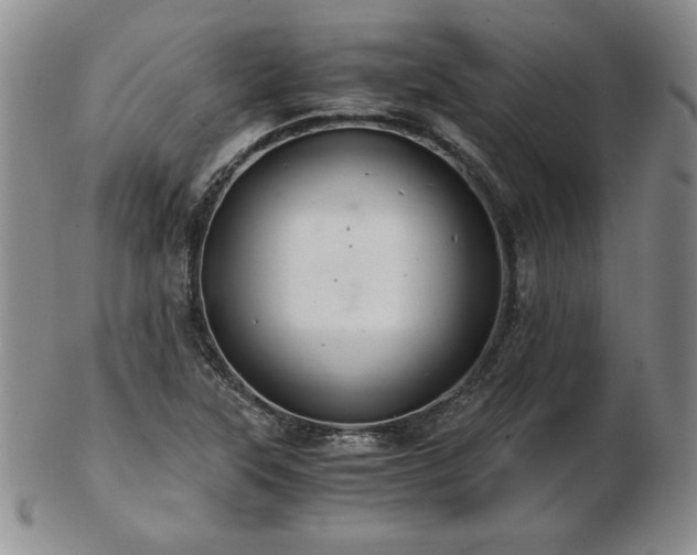 X0000103131315200808221145