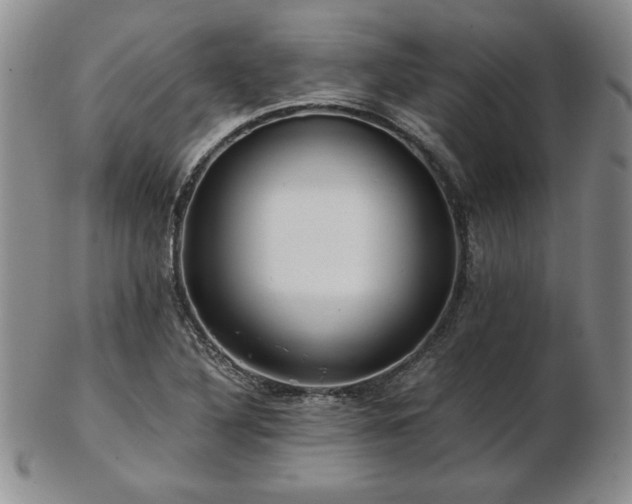X0000103131316200808221145