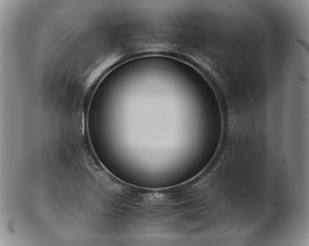 X0000103131317200808221145