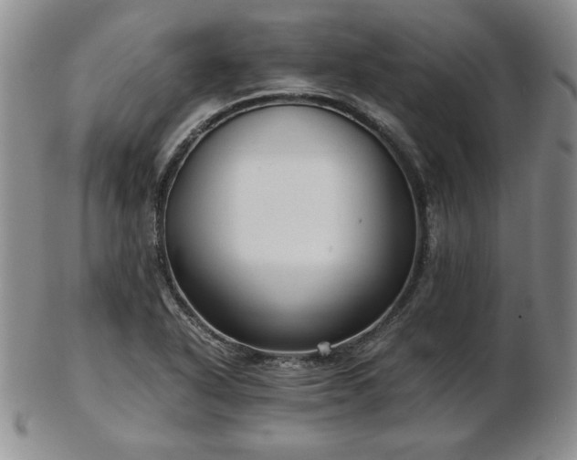X0000103131318200808221145