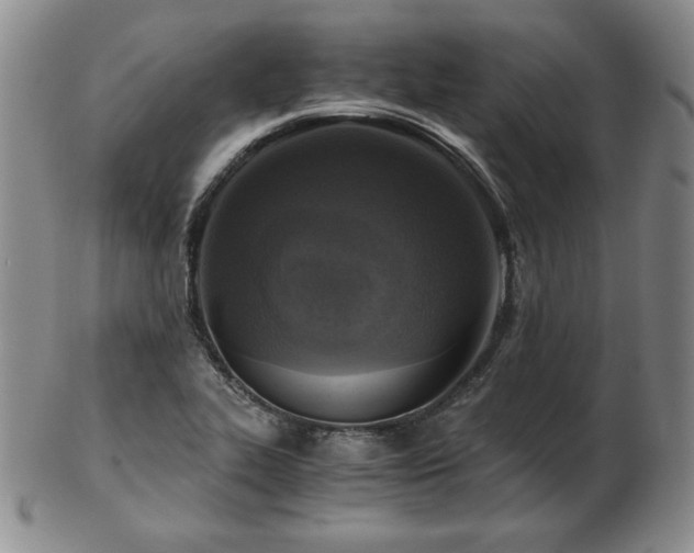 X0000103131319200808221145