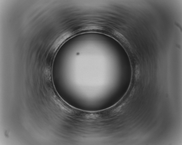 X0000103131321200808221145