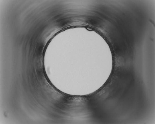 X0000103131322200808221145